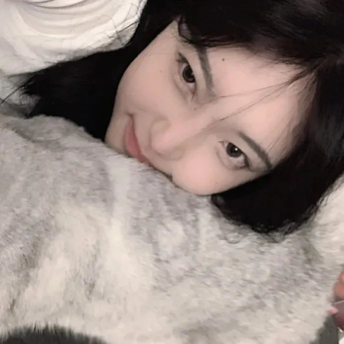 仙女教母